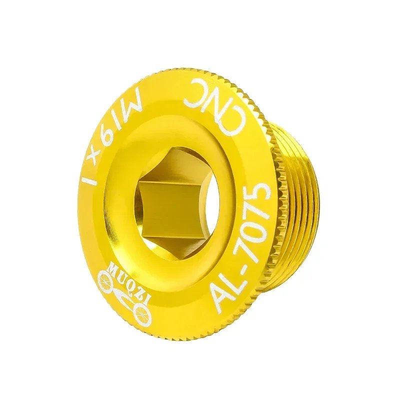 M19 Gold