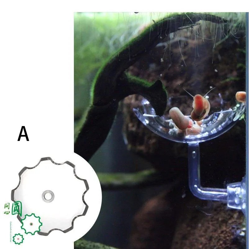 A Feeding tray