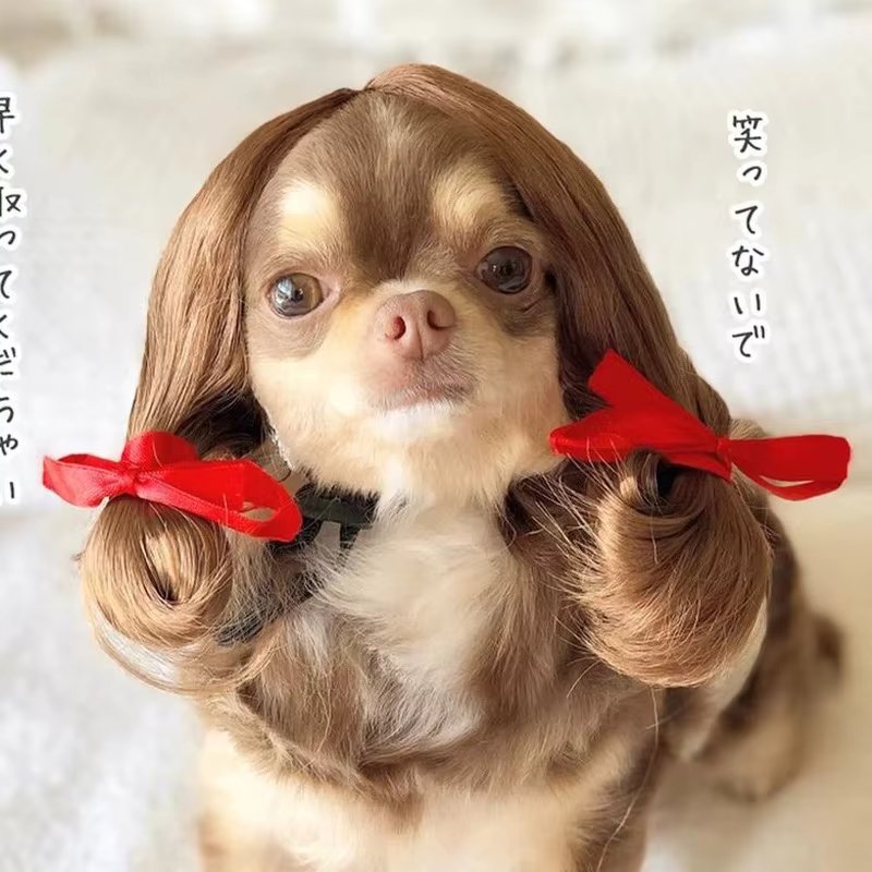 Brown wig