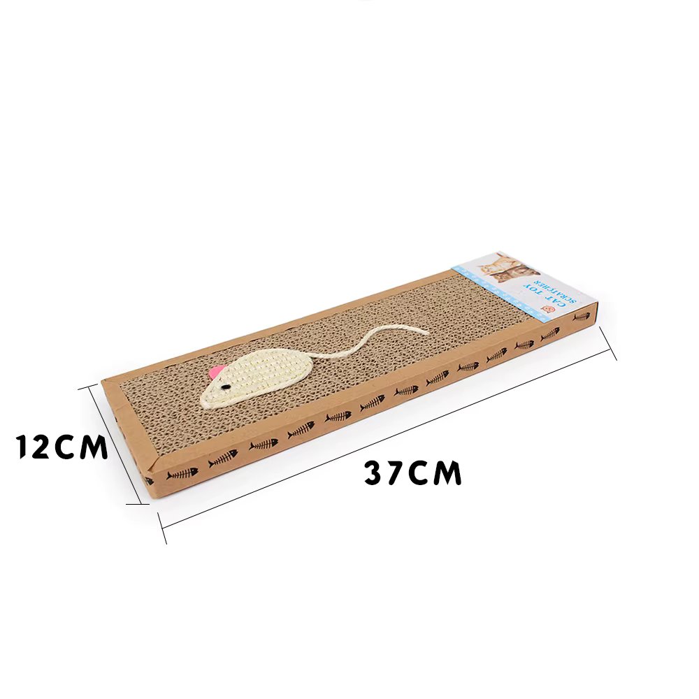37x12x2cm