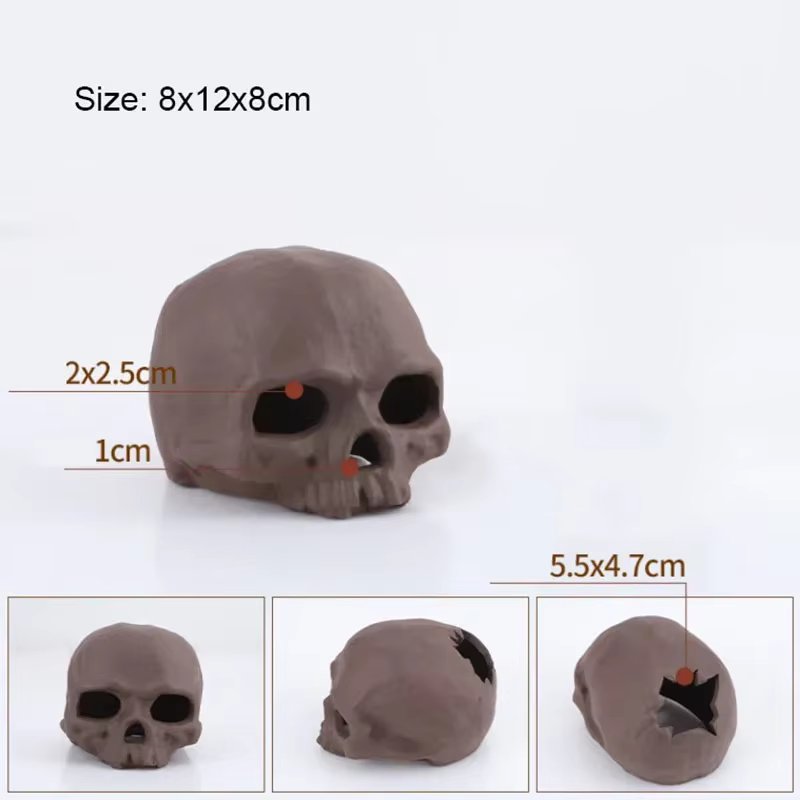 Skeleton
