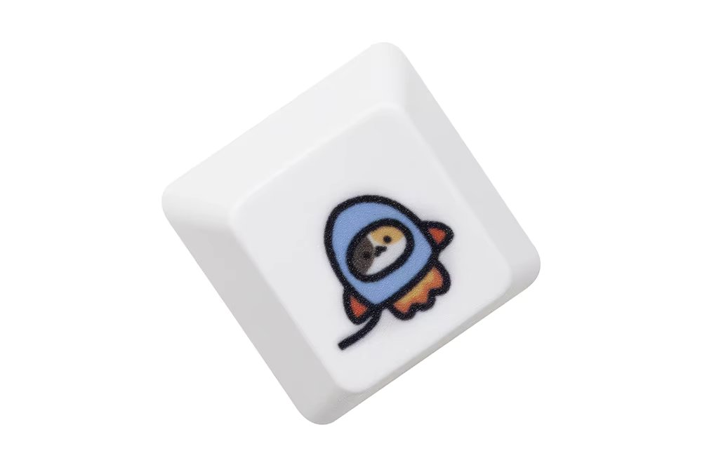 CalicoC D Keycap x1