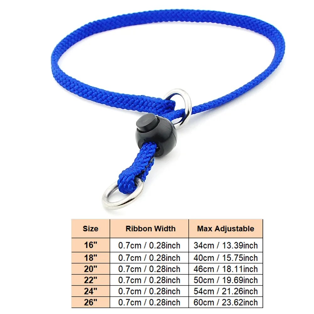 Blue Control Collar