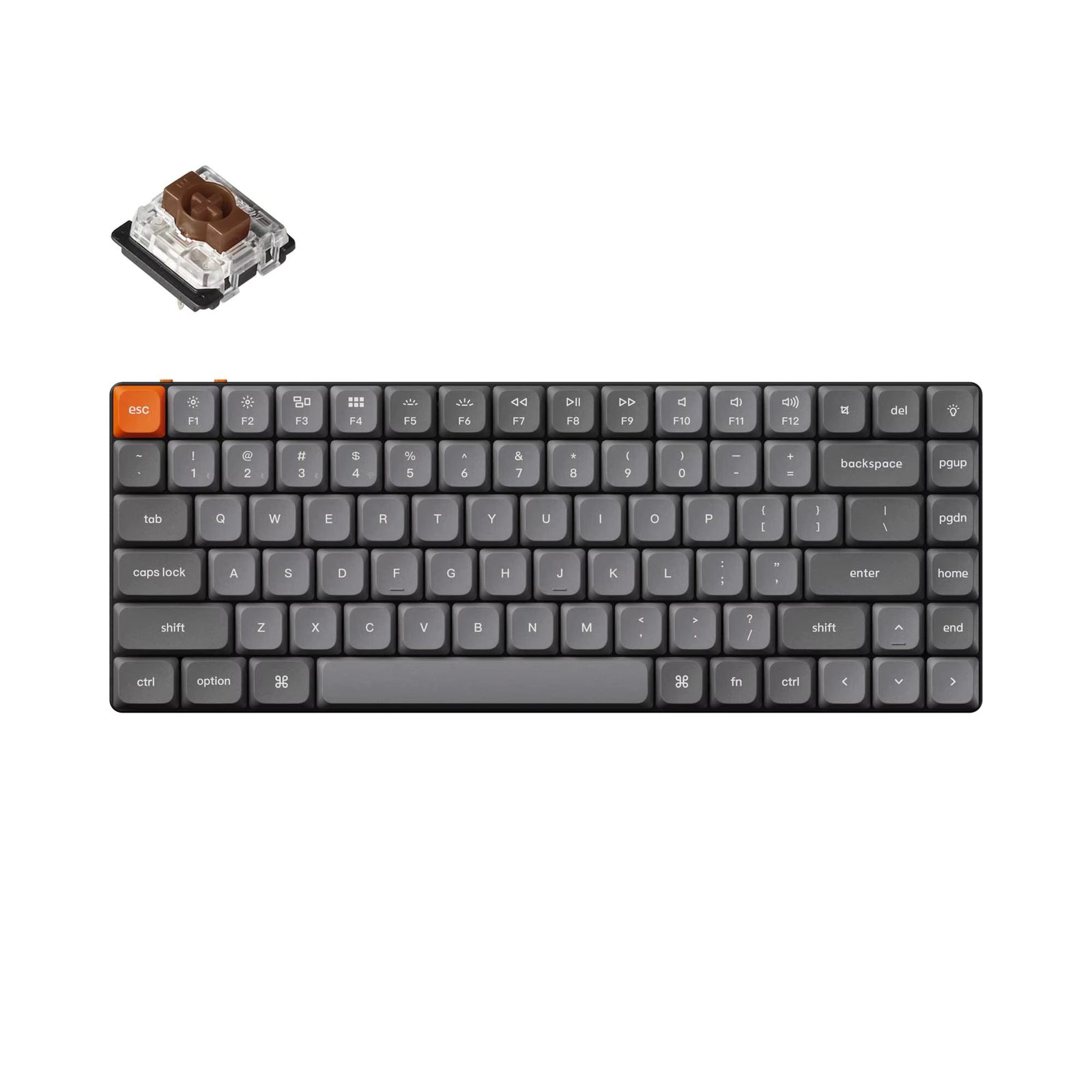 RGB Backlight
