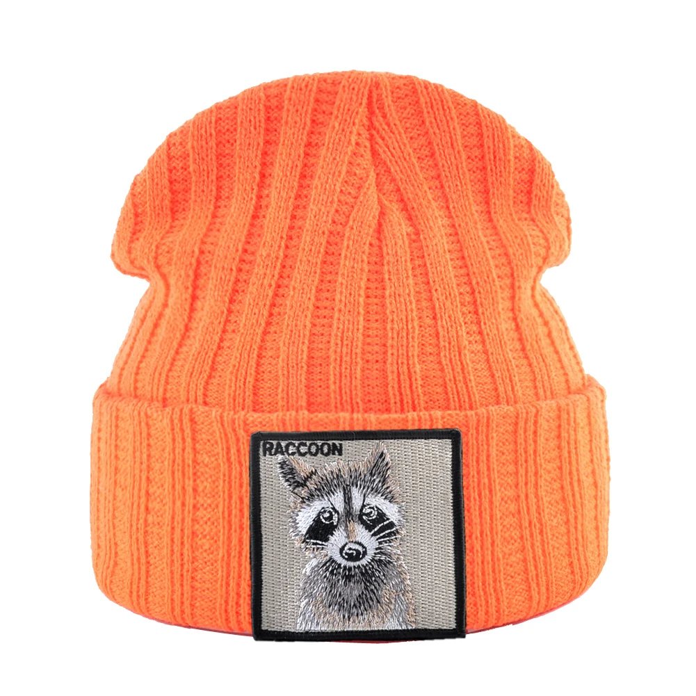 Orange Raccoon