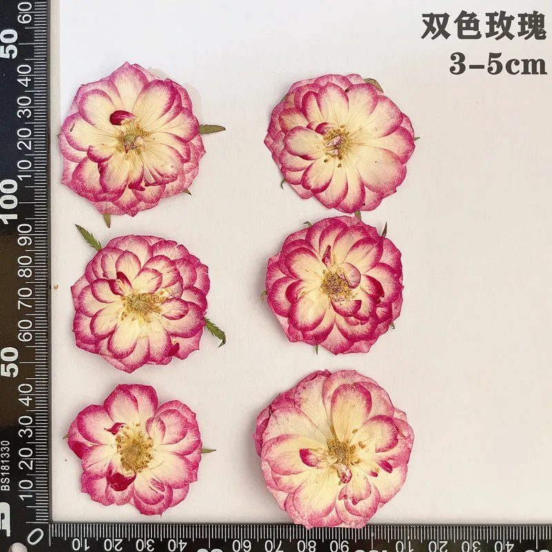 double Color 3-5cm