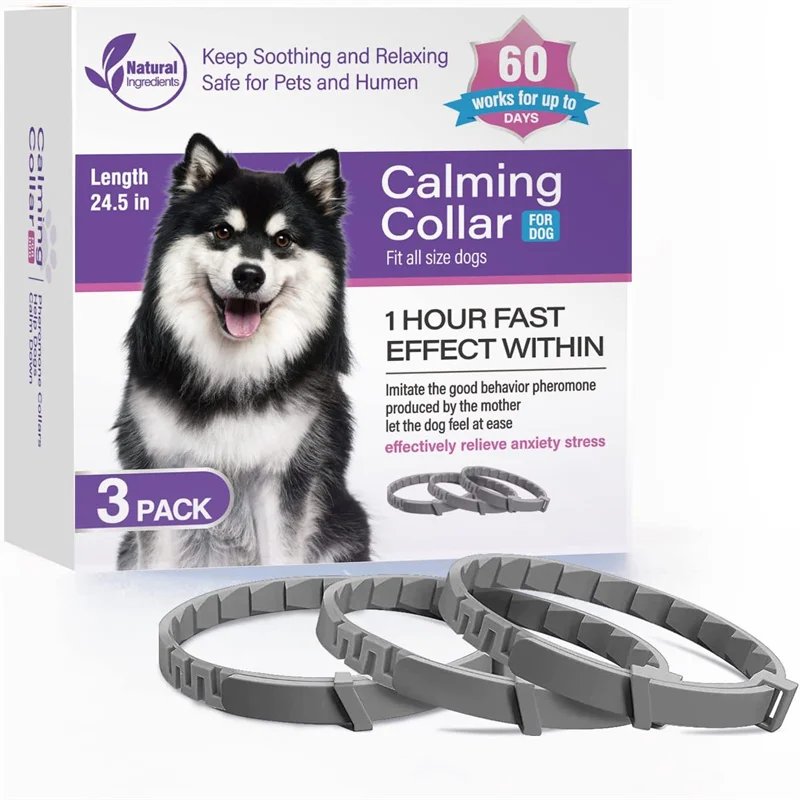 3Pc Dog 62cm-Grey