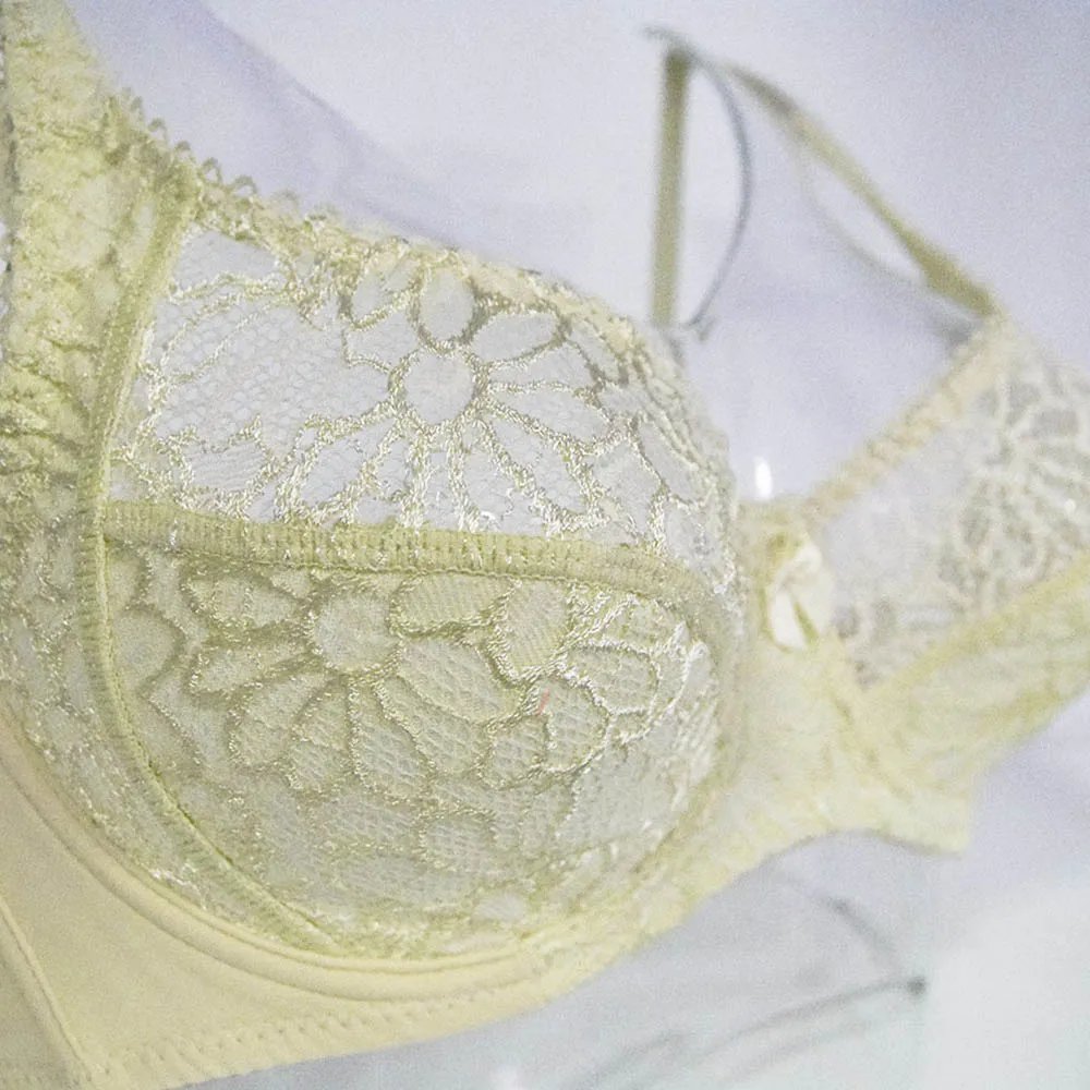Plus Size Women Lace Bras Perspective Breathable Lager Bosom Bralette Underwired Embroidery Silky Touch BH Top B C D DD E F Cup