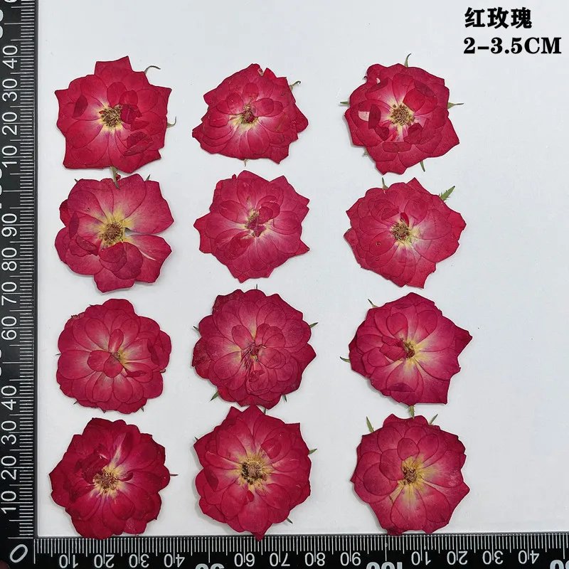 Red 2-3.5cm