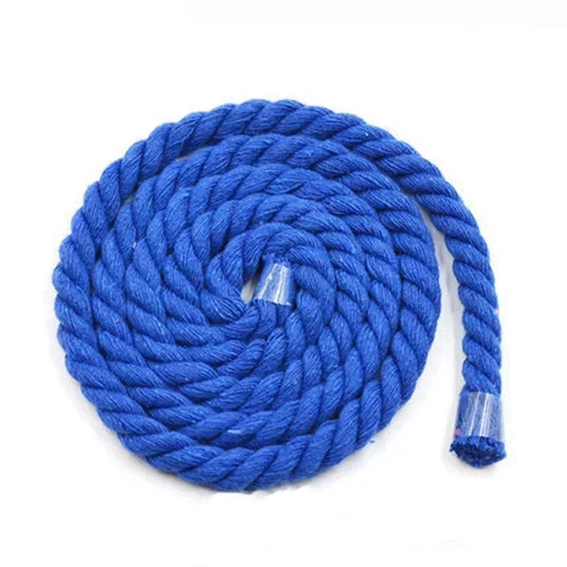 RoyalBlue