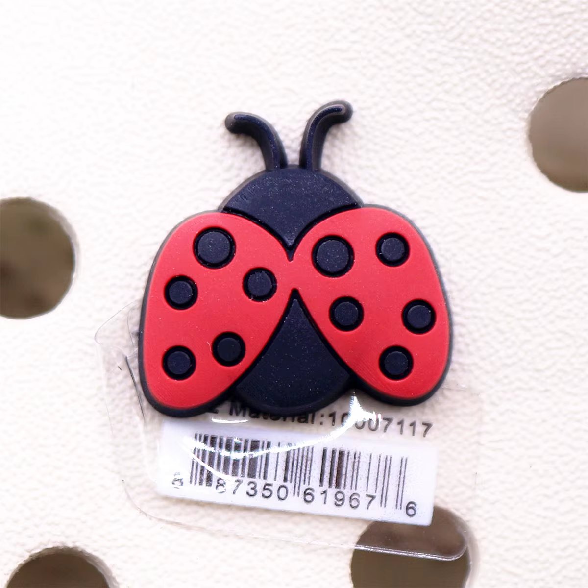 ladybug
