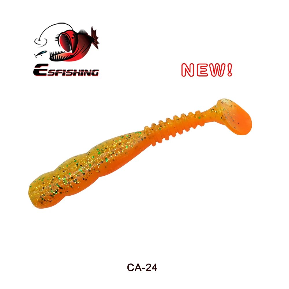 CA24