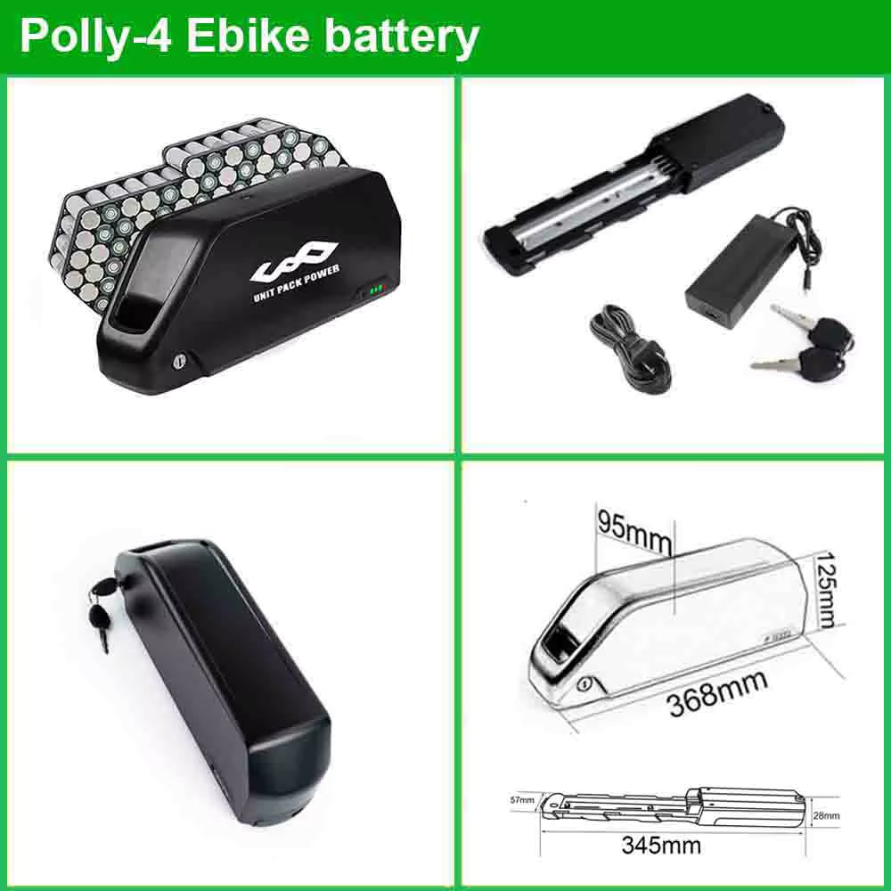 48V20Ah Polly4