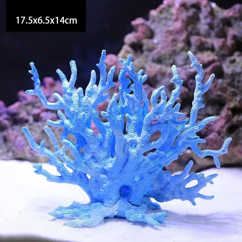 Blue Coral