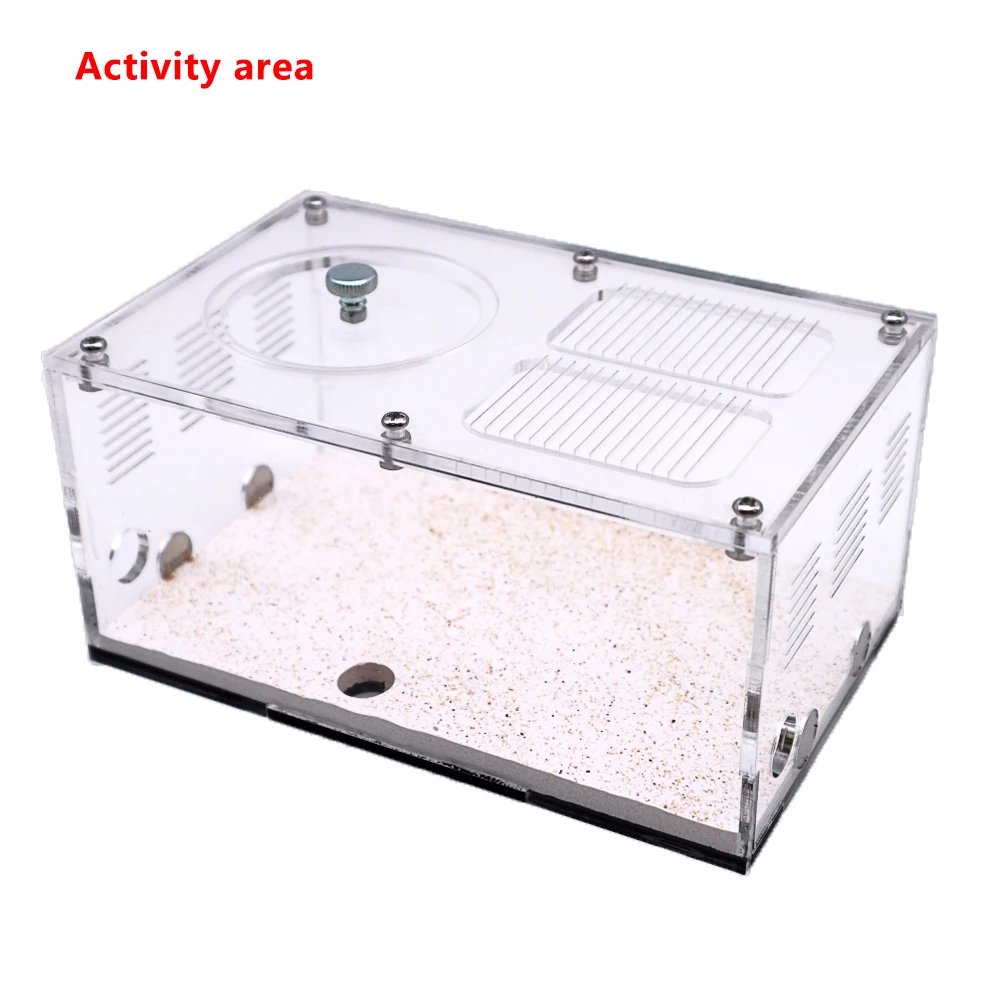 Activity area