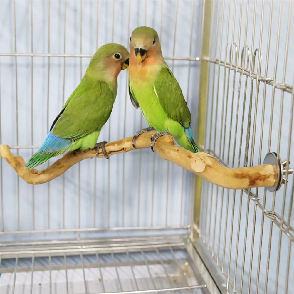 Natural Parrot Perch Bird Stand Tree Stick Paw Grinding Fork Parakeet Climbing Bird Standing Branches Toys Birdcage Accessories