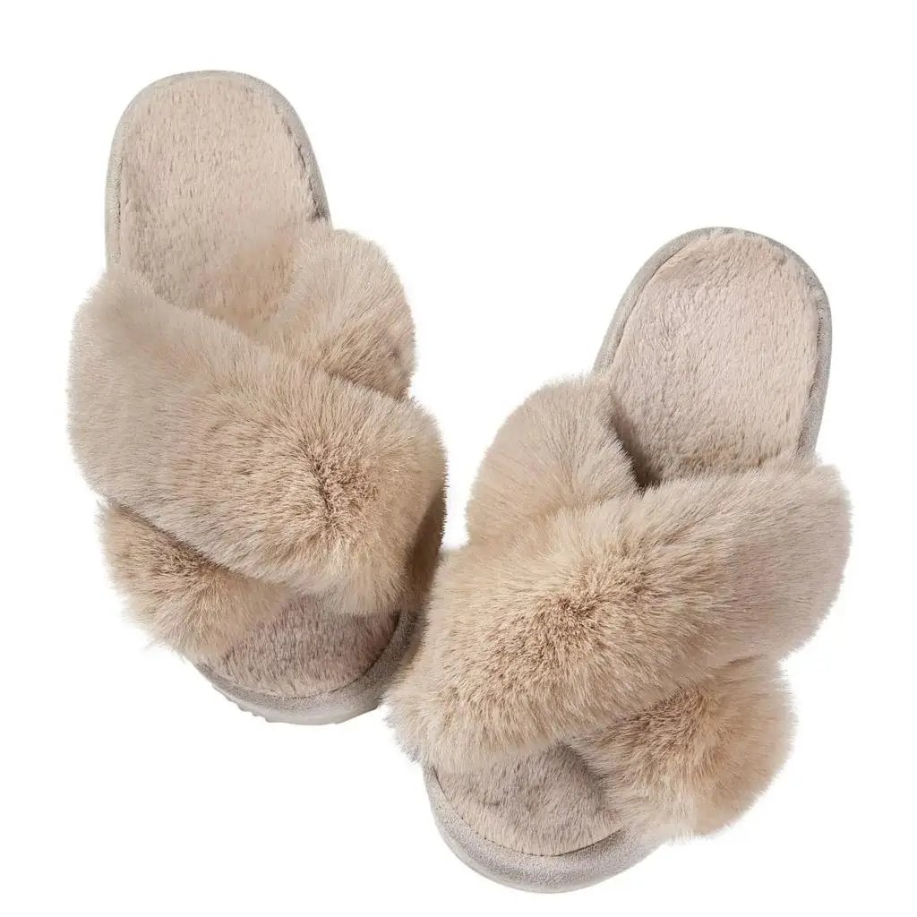 Camel 1