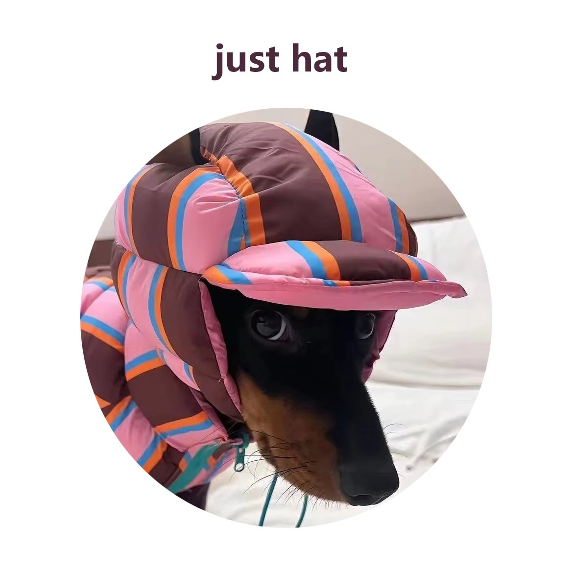 just hat
