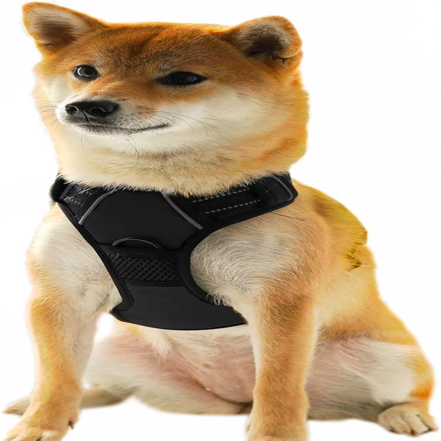 Enhance your furry friend's comfort and style with this charming and stylish soft and durable harness - Perfect accessory for sp