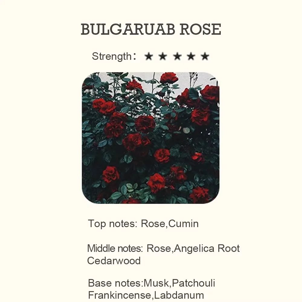 BULGARUAB ROSE