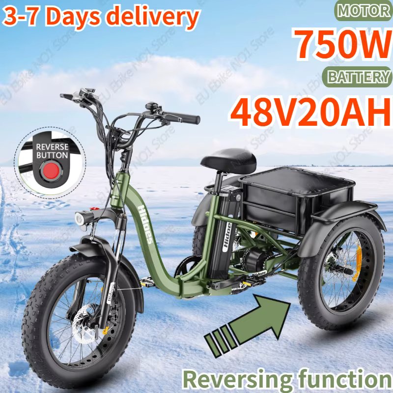E Trike 750W Mid-mounted Motor 48V20ah Folding Electric Tricycle with Reverse Function for Cargo 20*4.0 Fat Tire Electric Trike
