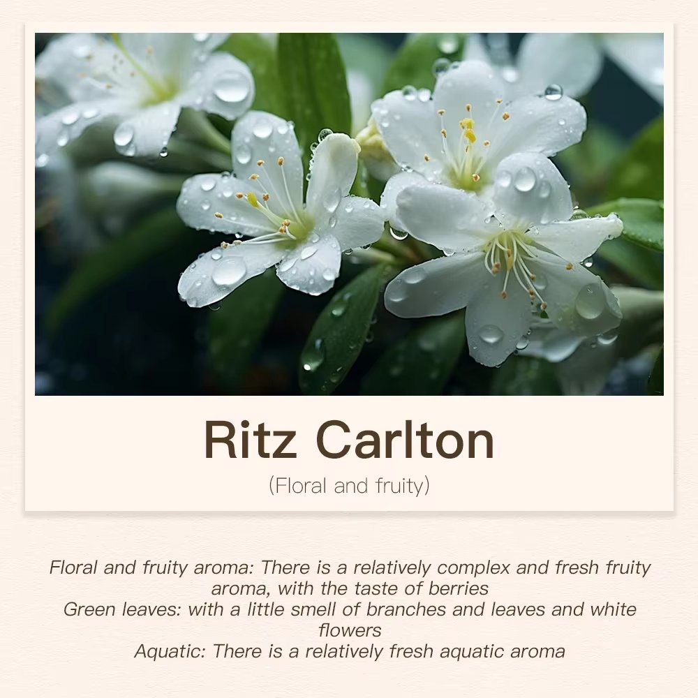Ritz-Carlton