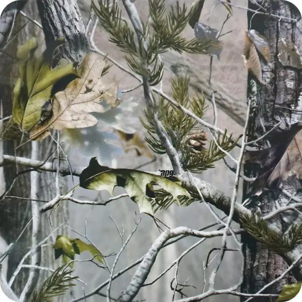 50x100cm