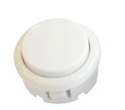 10pcs white