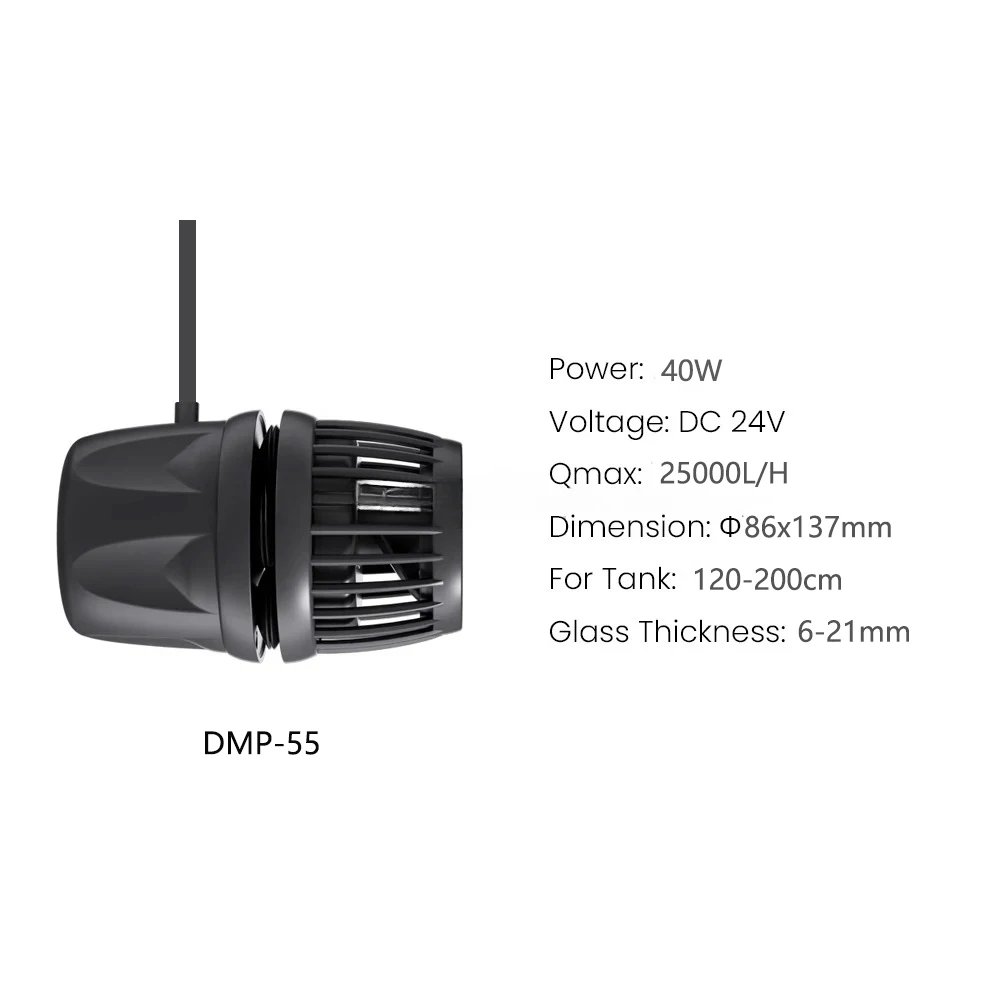 DMP-55