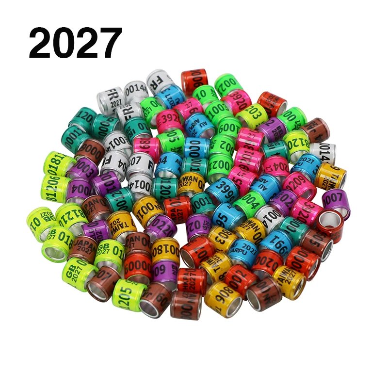 10x10 2027