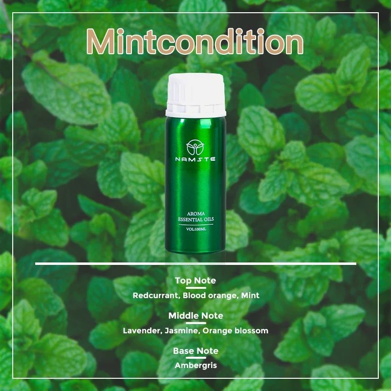 mintcondition