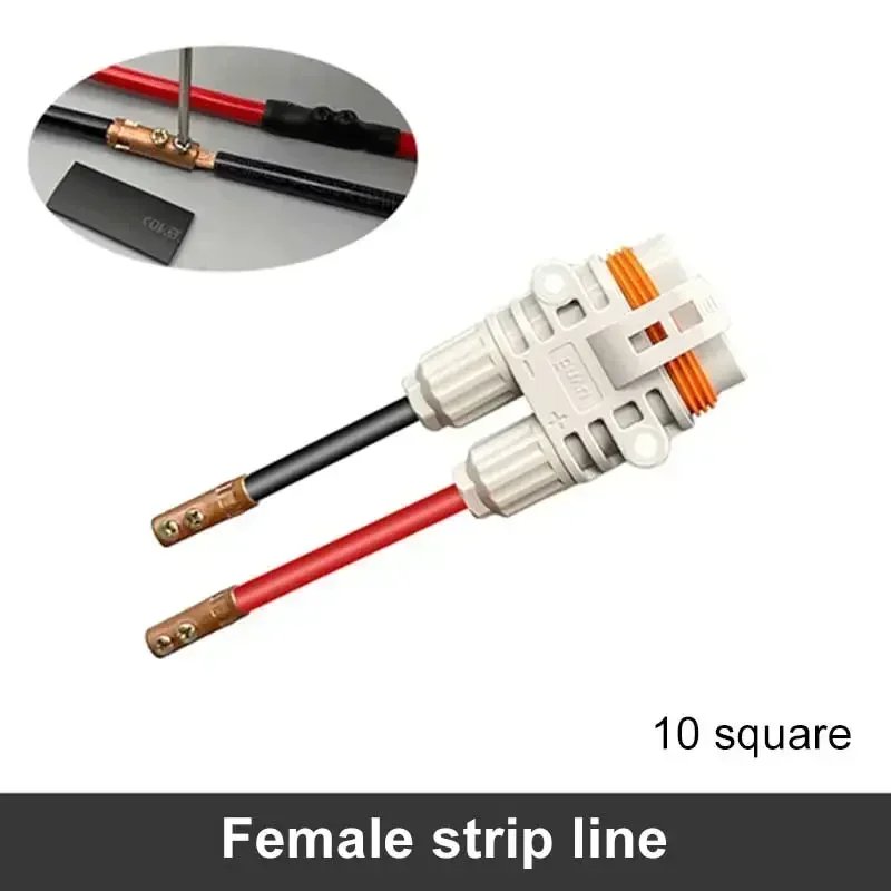 female A