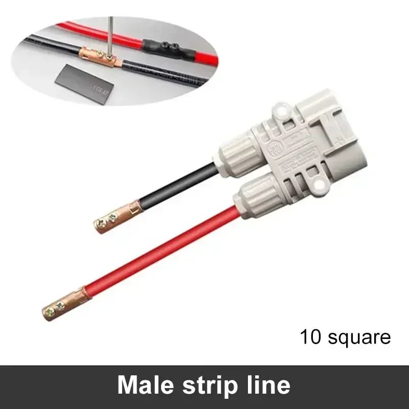 male A