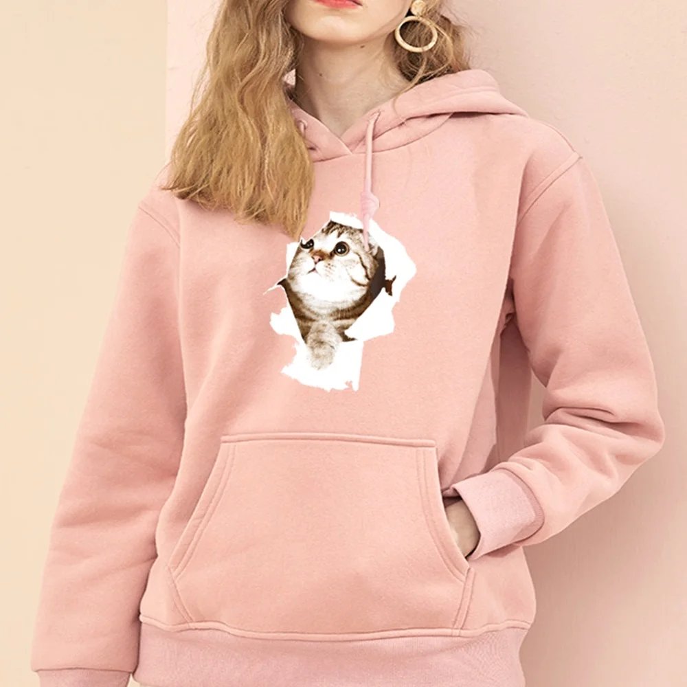 2Cat004