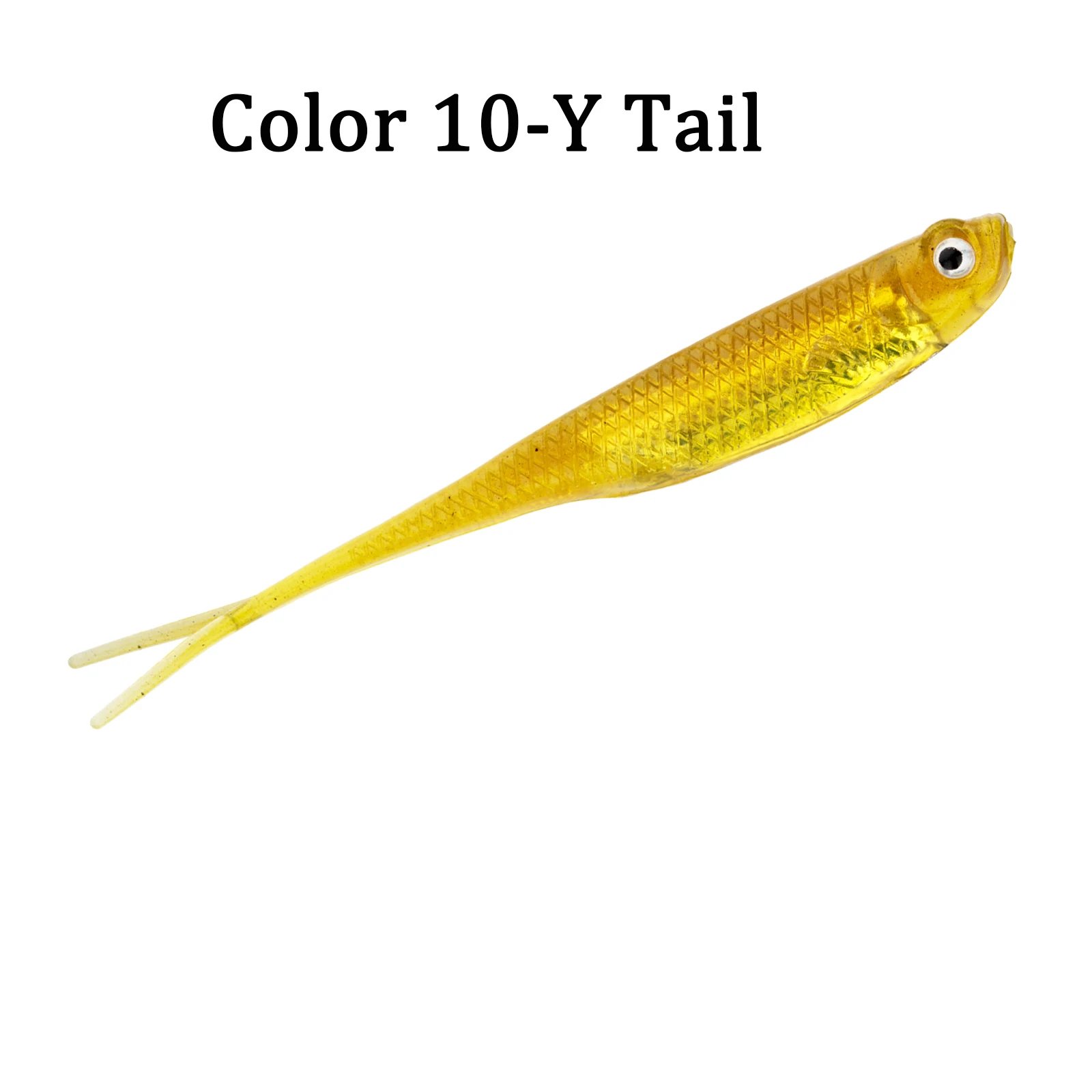 Y Tail Color 10