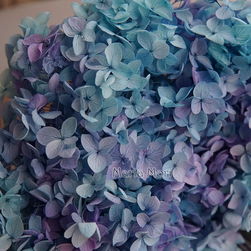 Gradient Color 155