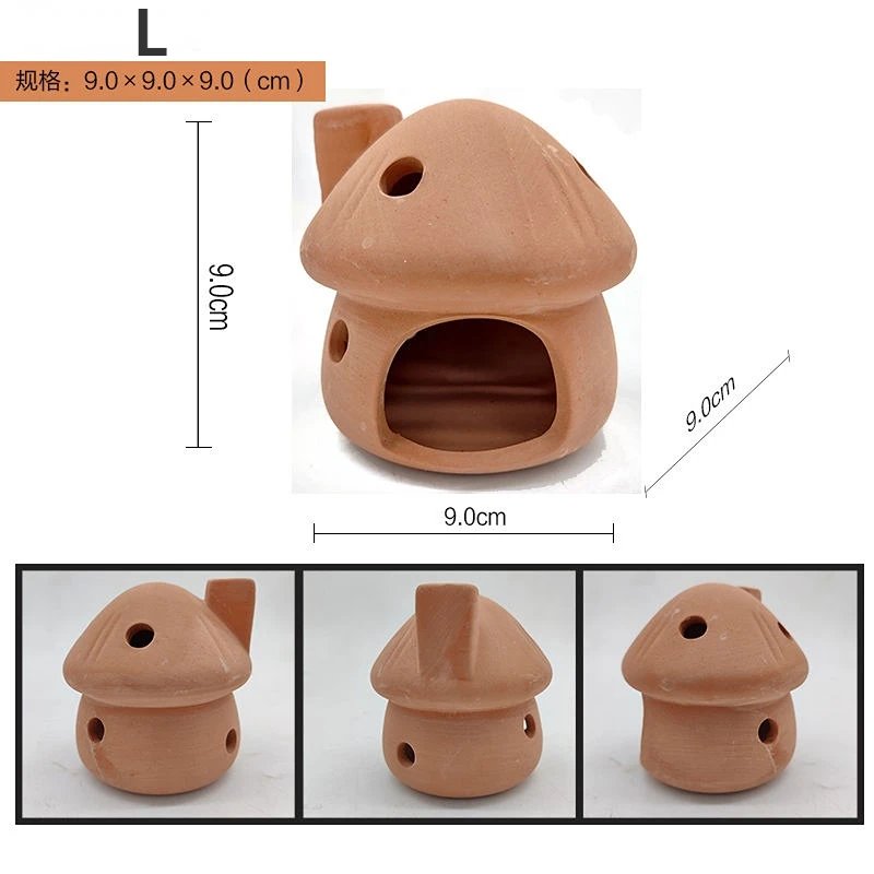L Mushroom House