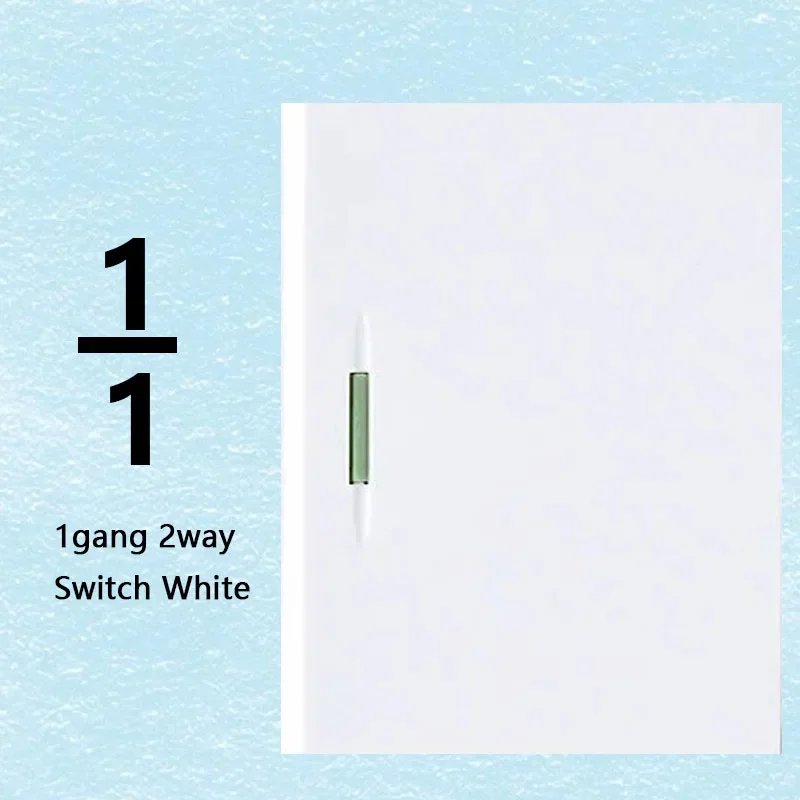 1gang 2way big