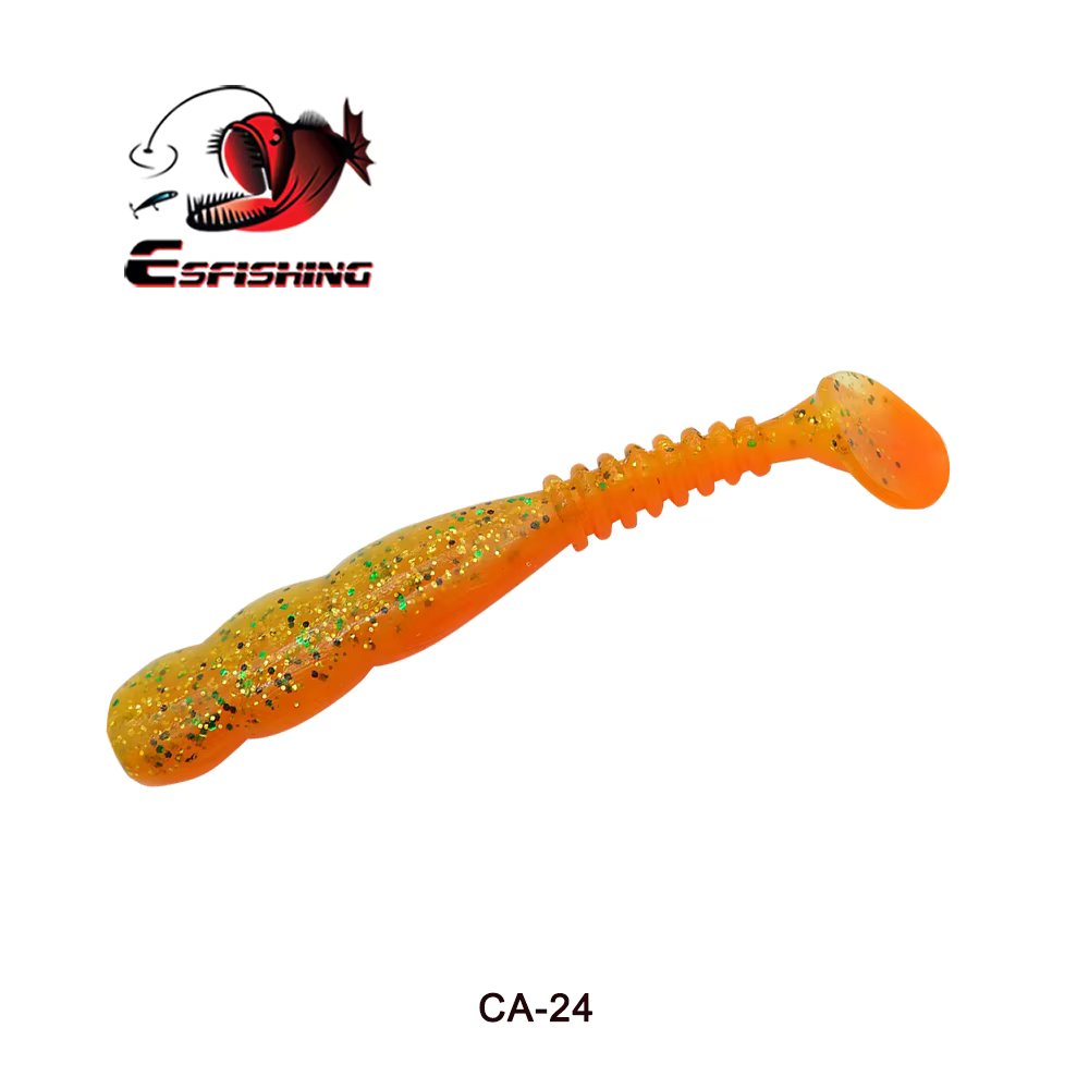 CA24