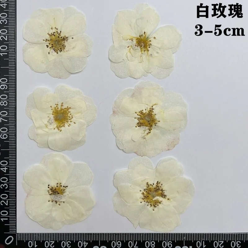 white 3-5cm