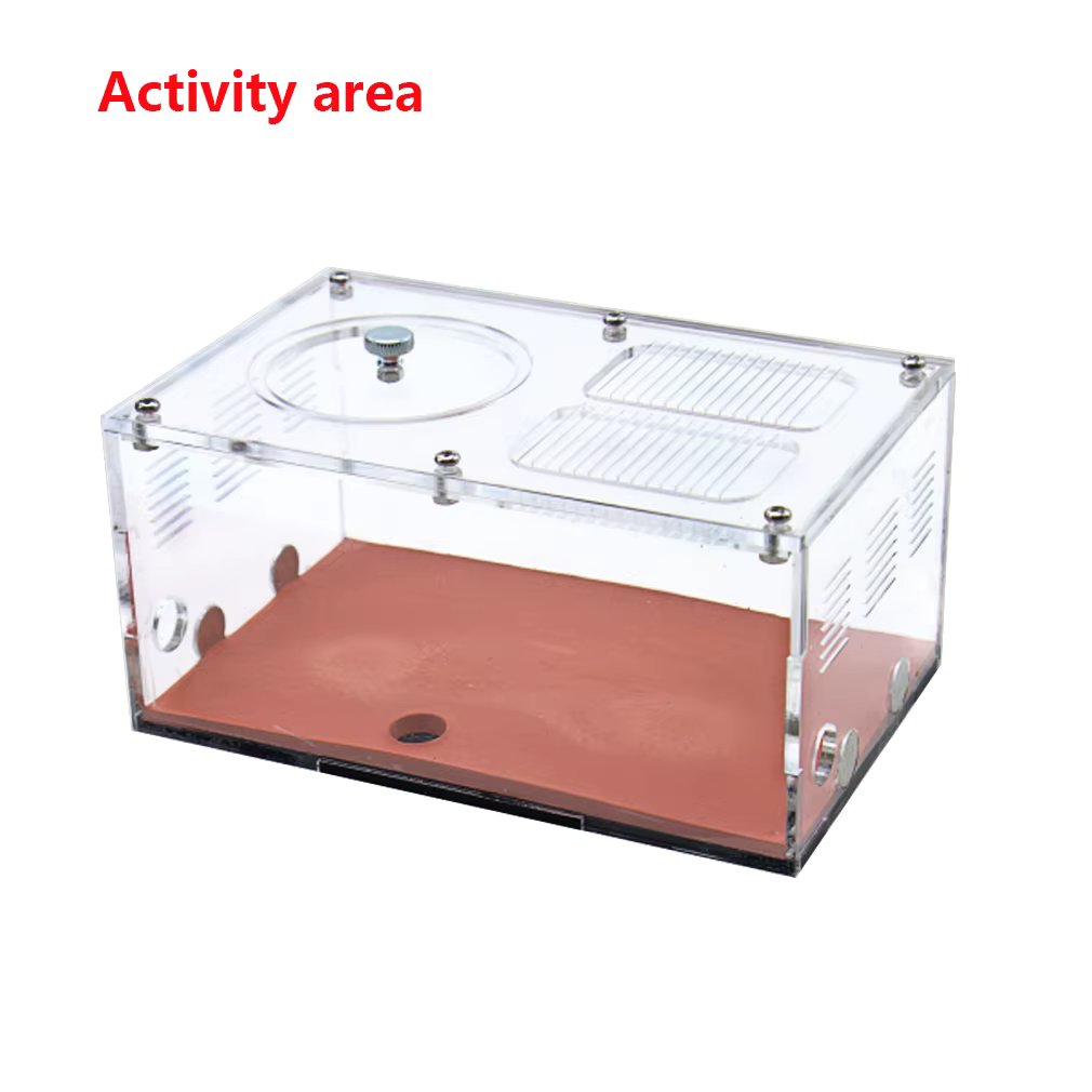 Activity area