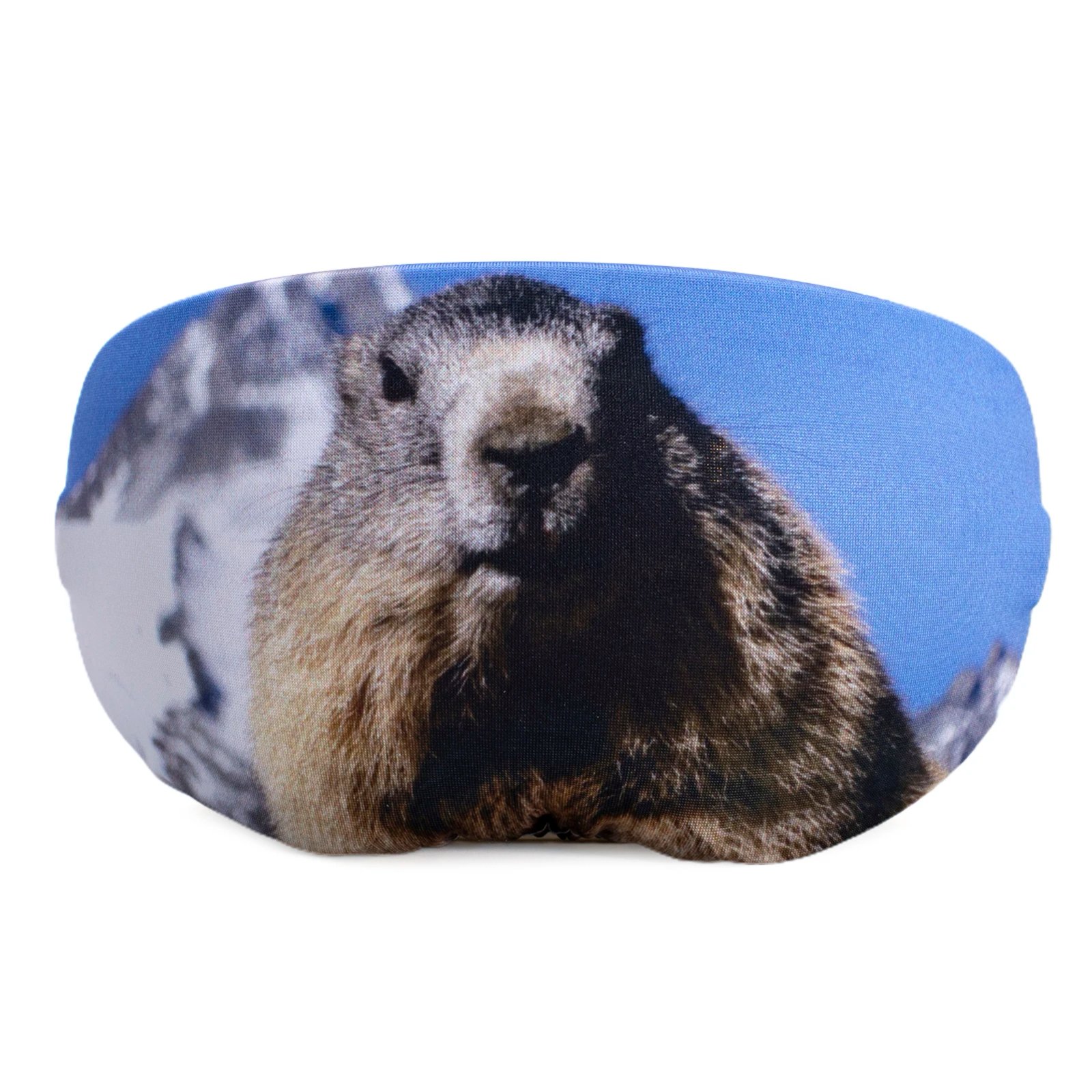 C16 Groundhog