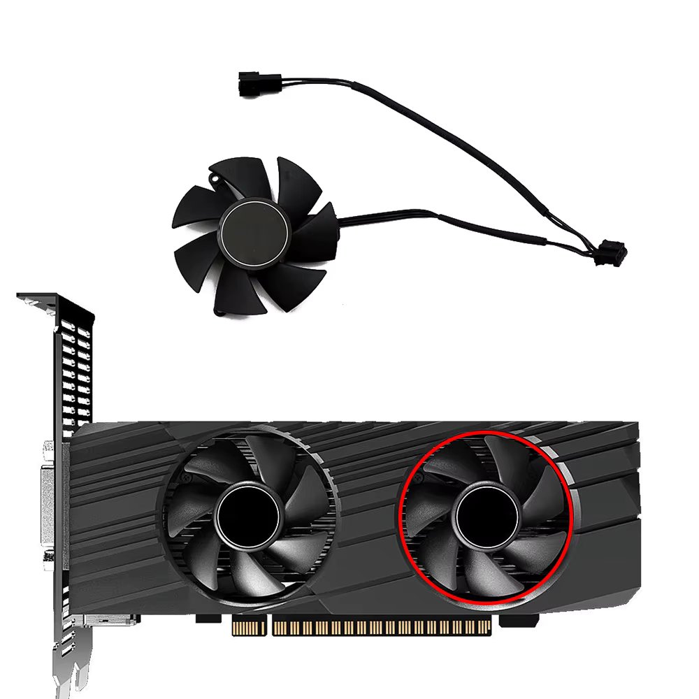 B-Fan