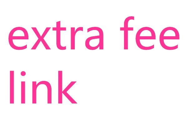 special link for ers to pay for extra fee for rush order / special request order3 Customized