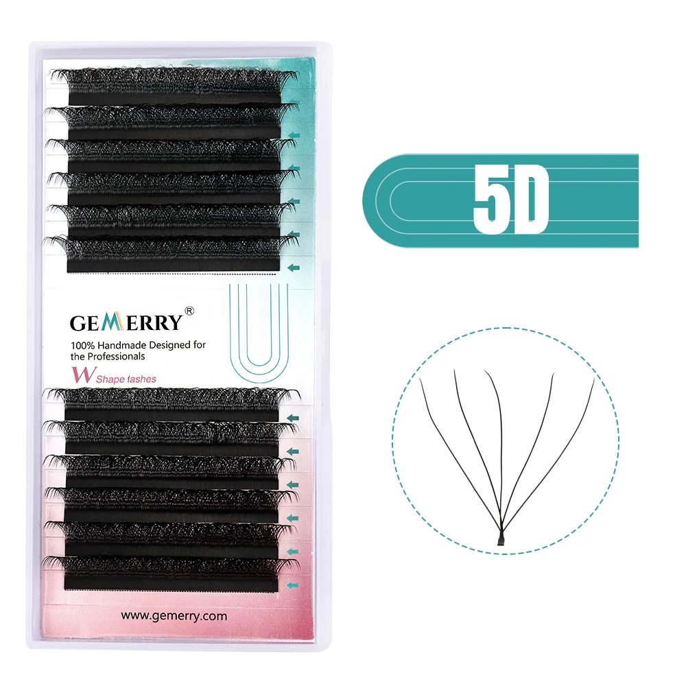 5D W