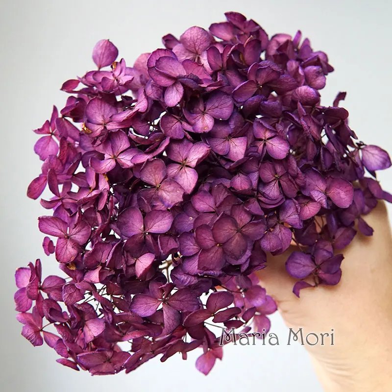 Color S022