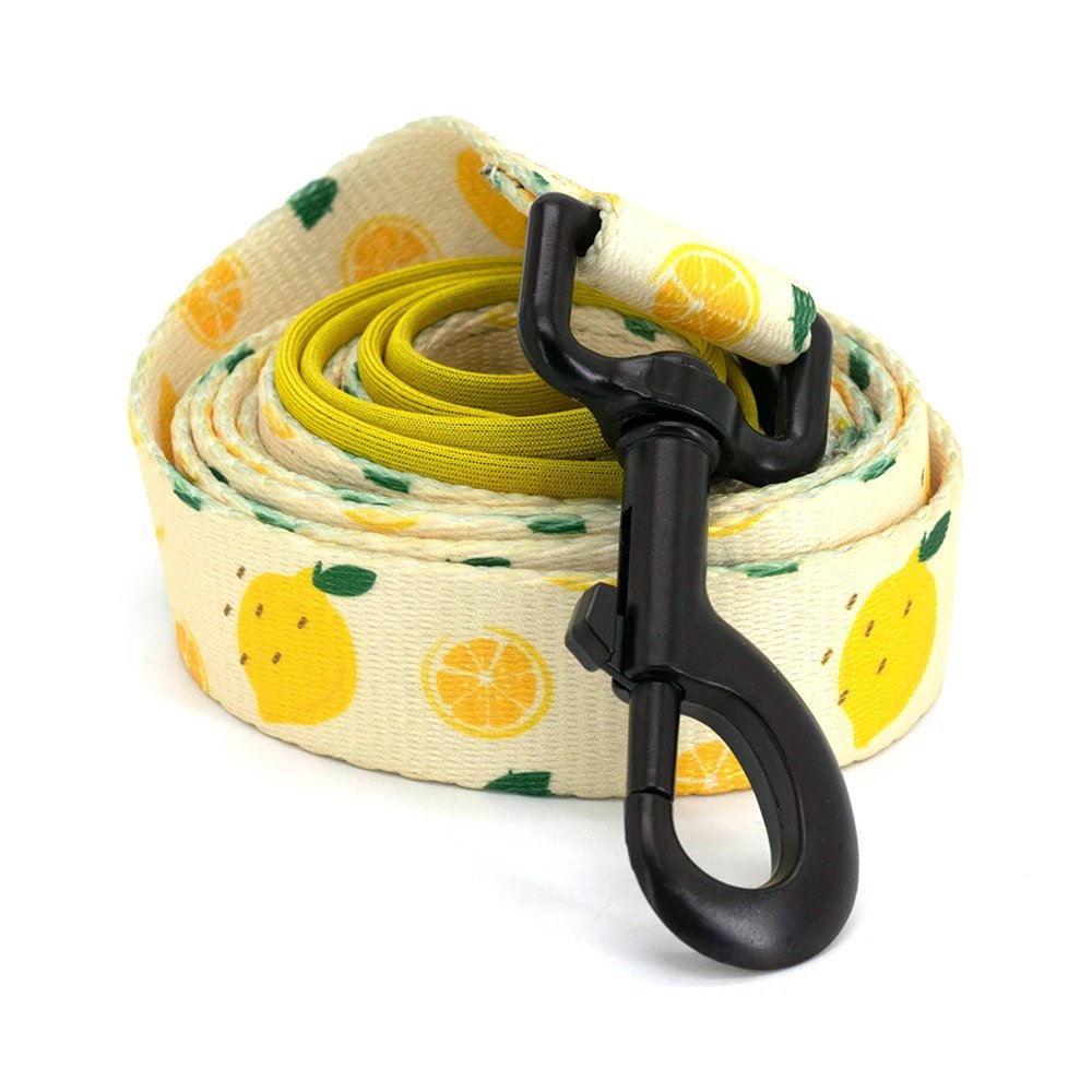 Leash