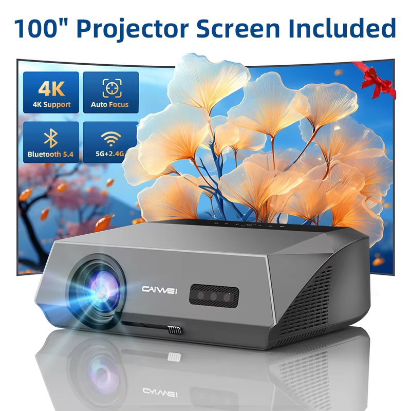 A10Q Projector