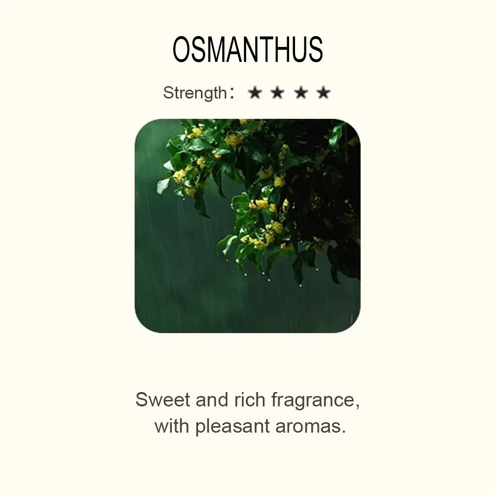 Osmanthus
