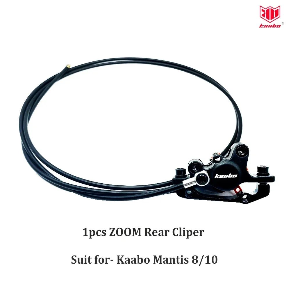Rear Brake Cliper